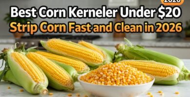 Best Corn Kerneler Under $20: Strip Corn Fast and Clean in 2026