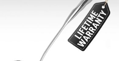 Best Soup Ladle Under $20 in 2026 – Clean Pour, Rust-Proof & Comfortable