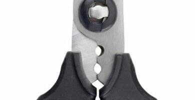 Best Kitchen Shears Under $20 in 2026 – Sharp, Comfortable & Built to Last